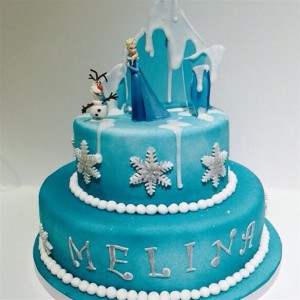 Frozen Elsa & Olaf                                                 